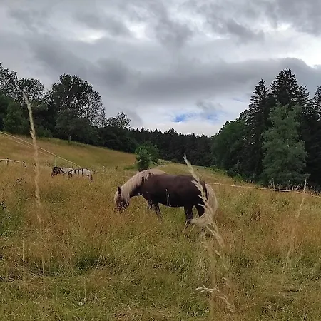 شقة Ein Traum Im Schwarzwald - Mit Megaausblick *