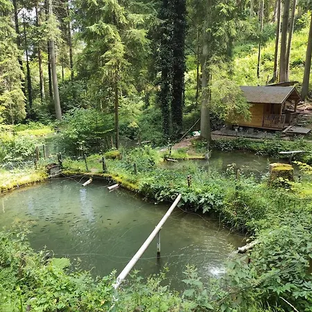 شقة Ein Traum Im Schwarzwald - Mit Megaausblick *