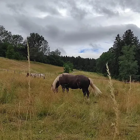Ein Traum Im Schwarzwald - Mit Megaausblick *