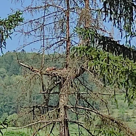 Ein Traum Im Schwarzwald - Mit Megaausblick شقة *