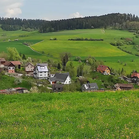 Ein Traum Im Schwarzwald - Mit Megaausblick *