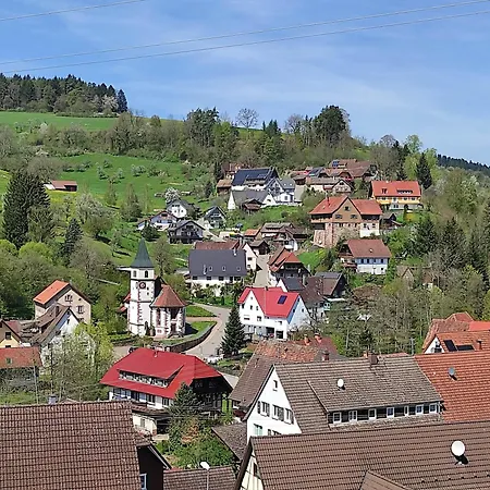 شقة Ein Traum Im Schwarzwald - Mit Megaausblick Glatten